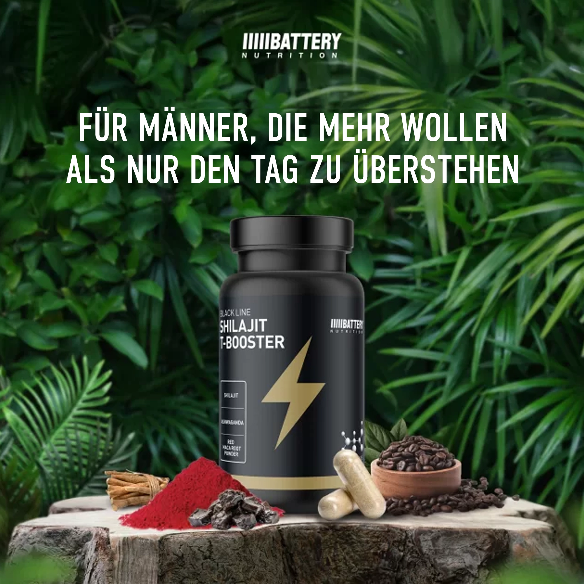 BATTERY SHILAJIT T-BOOSTER, 30 Kapseln